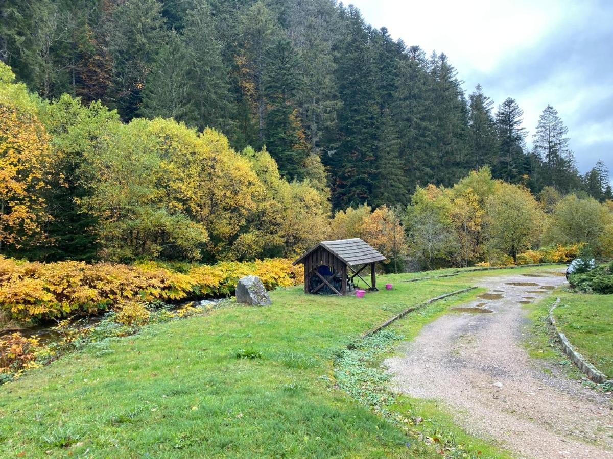 Le Cosy De La Vologne Lägenhet Gérardmer Exteriör bild